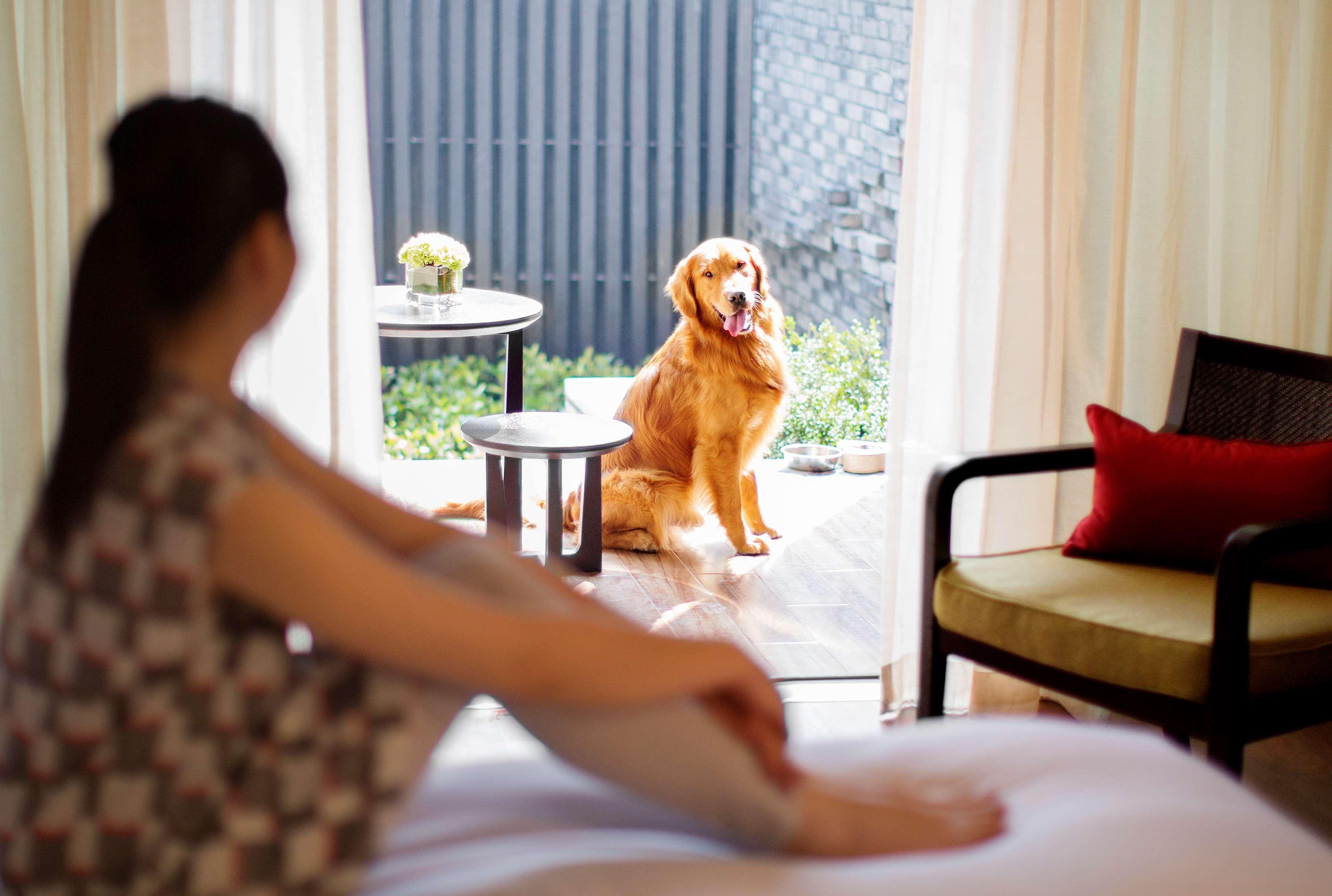 Отель Hyatt Regency Chongming Экстерьер фото